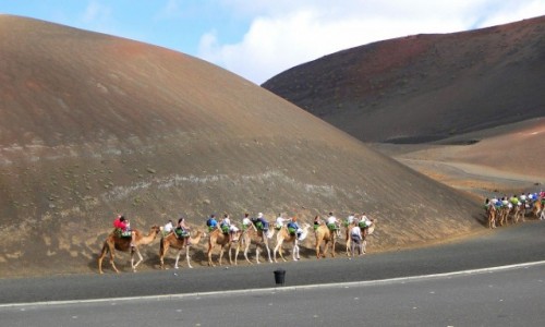HISZPANIA / Wyspy Kanaryjskie / Lanzarote / Na wielbdzim szlaku.