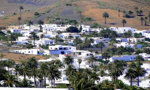 HISZPANIA / Wyspy Kanaryjskie / Lanzarote / W Dolinie Tysica Palm.