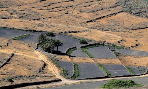 Zdjcie HISZPANIA / Wyspy Kanaryjskie / Lanzarote / Lanzaroteskie pola uprawne.