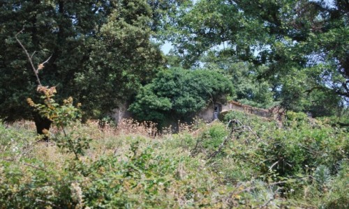 Zdjęcie HISZPANIA / Catalonia / Requesens / ICAN4x4