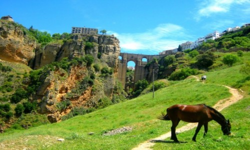 Zdjcie HISZPANIA / Andaluzja / Ronda / Wypasiona Ronda