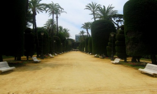 Zdjcie HISZPANIA / Andaluzja / Kadyks / Park Genoves