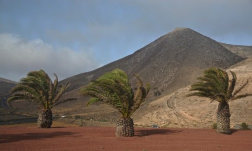 Zdjcie HISZPANIA / Wyspy Kanaryjskie / Lanzarote / wakacje...