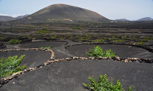 Zdjecie HISZPANIA / Wyspy Kanaryjskie / Lanzarote / wakacje...