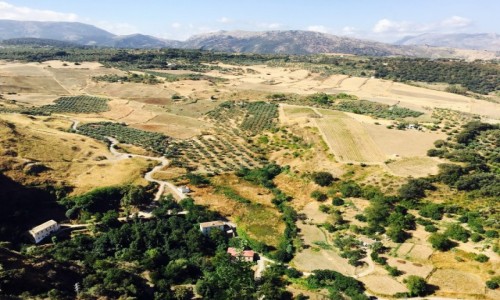 Zdjcie HISZPANIA / Andaluzja / Ronda / Panorama 