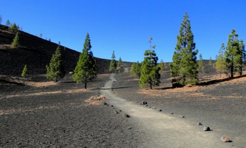 Zdjcie HISZPANIA / Wyspy Kanaryjskie / Teneryfa - Park Narodowy Teide / Kanaryjskie wspomnienie - Teneryfa (7)