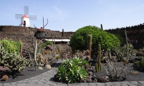 Zdjęcie HISZPANIA / Lanzarote / Jardin de Cactus / Zielone kłujaki
