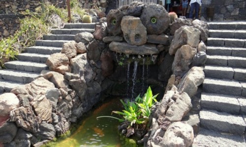 Zdjęcie HISZPANIA / Lanzarote / Jardin de Cactus / Pluskacz