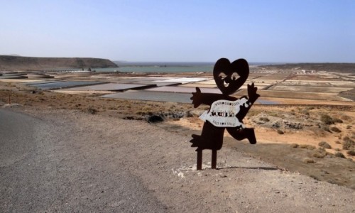 Zdjęcie HISZPANIA / Lanzarote / La Hoya / Solniczka