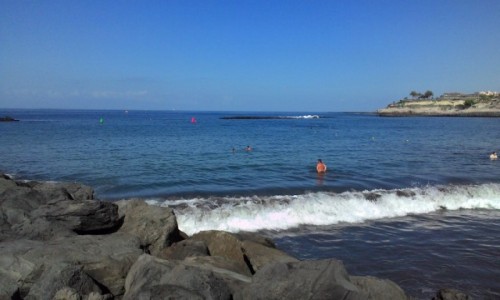 Zdjecie HISZPANIA / Teneryfa / Santa Cruz / przzyroda