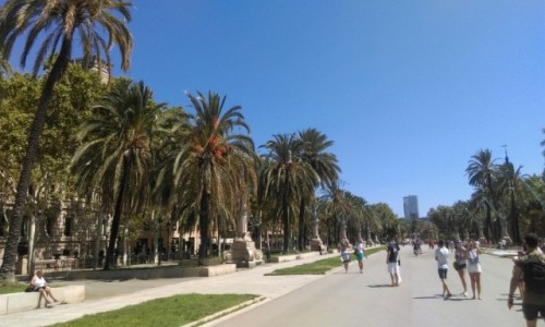 Zdjecie HISZPANIA / Barcelona / Barcelona / Barcelona