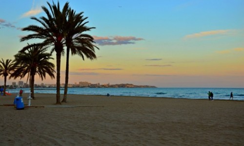 Zdjecie HISZPANIA / Costa Blanca / Alicante / Plaa miejska