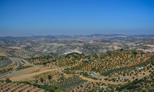Zdjcie HISZPANIA / Andaluzja / - / Andaluzja