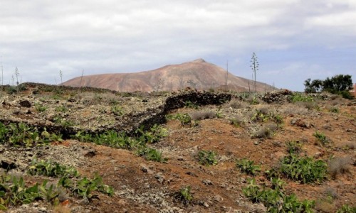 Zdjecie HISZPANIA / Wyspy Kanaryjskie / Fuerteventura / Klimaty Fuerteventury.