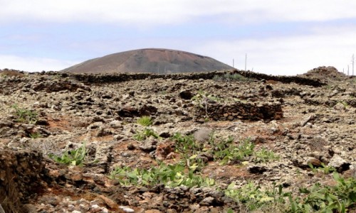 Zdjcie HISZPANIA / Wyspy Kanaryjskie / Fuerteventura / Klimaty Fuerteventury.
