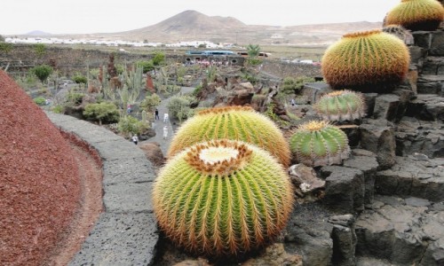 Zdjecie HISZPANIA / Wyspy Kanaryjskie / Lanzarote / Kanaryjskie wspomnienie - Lanzarote