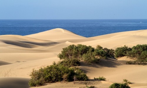 Zdjecie HISZPANIA / Las Palmas / Maspalomas / Wydmy w Maspalomas - cud natury!