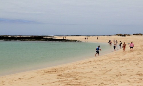 Zdjcie HISZPANIA / Wyspy Kanaryjskie / Fuerteventura / Klimaty Fuerteventury.