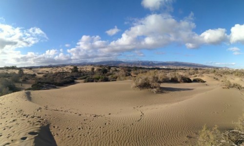 Zdjcie HISZPANIA / Gran Canaria / Dunas de Maspalomas / Gran Canaria