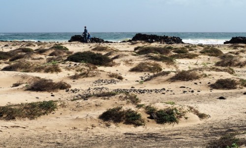 Zdjęcie HISZPANIA / Wyspy Kanaryjskie / Lanzarote, Costa Teguise / Spacer nad oceanem