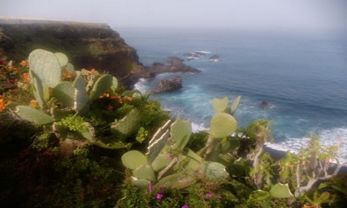 Zdj�cie HISZPANIA / Teneryfa / Puerto de la Cruz  / Fajna pla�a