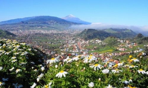 Zdjecie HISZPANIA / Teneryfa / Mirador Cruz Del Carmen  / Dolina Orotavy z El Teide