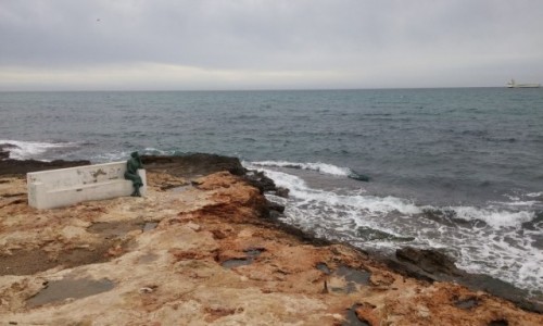 Zdjcie HISZPANIA / Alicante / Brzeg morza. / Torrevieja