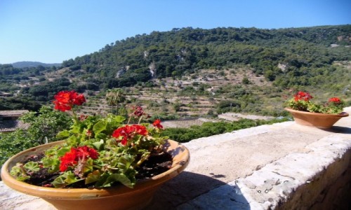 Zdjcie HISZPANIA / Majorka / Valldemossa / Krajobraz z Klasztoru
