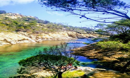 Zdjcie HISZPANIA / Costa Brava / Cala Pola / Cala Pola- Tossa de Mar