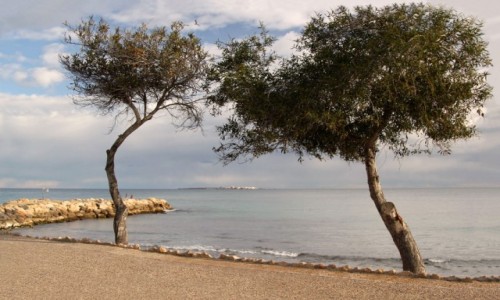 Zdjecie HISZPANIA / Walencja / Santa Pola / Santa Pola
