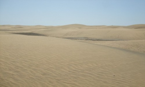 HISZPANIA / Wyspy Kanaryjskie / Gran Canaria / Dunas de Maspalomas