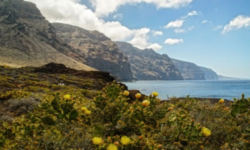 Zdjcie HISZPANIA / Kanary / Teneryfa / Los Gigantes