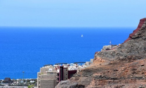 Zdjecie HISZPANIA / Gran Canaria / Puerto Rico / Samotny agiel