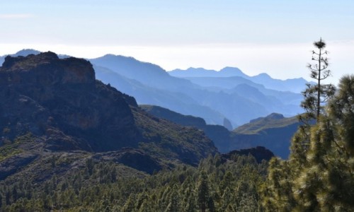 Zdjecie HISZPANIA / Gran Canaria / Parque Rural del Nublo / W drodze na Roque Nublo
