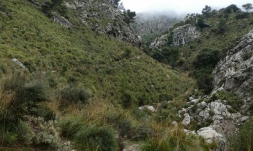 Zdjęcie HISZPANIA / Majorka / Serra de Tramuntana / W drodze do schroniska Tossals Verds