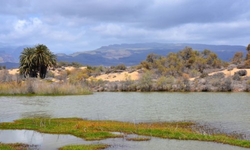 Zdjęcie HISZPANIA / Gran Canaria / Maspalomas / Maspalomas