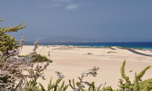 Zdjęcie HISZPANIA / fuerteventura / wydmy / mała pustynia