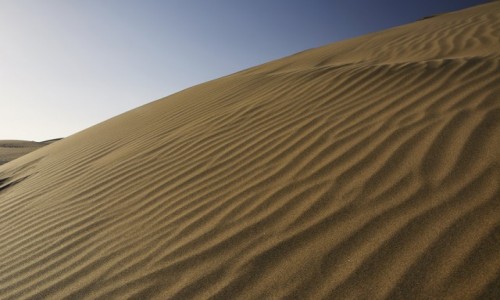 Zdjcie HISZPANIA / Wyspy Kanaryjskie / Maspalomas (Gran Canaria) / wzgrza piasku