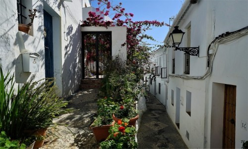 Zdjęcie HISZPANIA / Malaga / Frigiliana / Uliczka