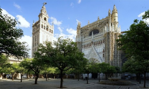 Zdjcie HISZPANIA / Andaluzja / Sevilla / Katedra, ogrd pomaraczowy