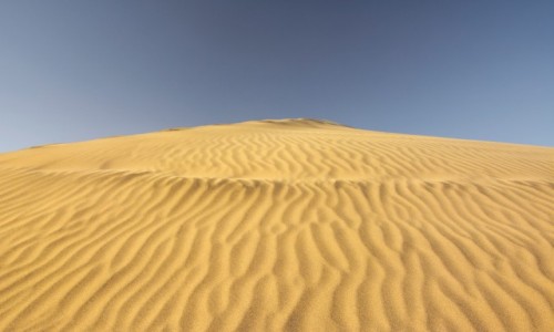 Zdjcie HISZPANIA / Wyspy Kanaryjskie - Gran Canaria / rezerwat DUNAS DE MASPALOMAS / wydmy