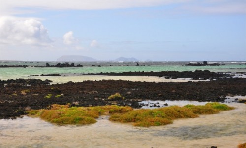 Zdjcie HISZPANIA / Wyspy Kanaryjskie / Orzola / Kolory Lanzarote