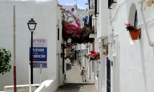 Zdjęcie HISZPANIA / Andaluzja / Mojacar / Pueblo blanco.