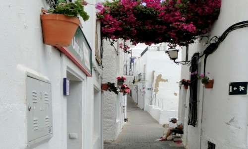 Zdjęcie HISZPANIA / Andaluzja / Mojacar / Pueblo blanco.