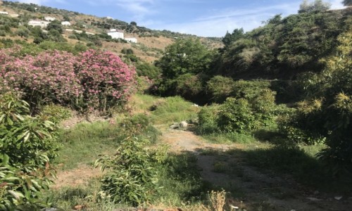 Zdjecie HISZPANIA / Andaluzja / Archez / Colorful