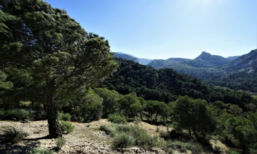 Zdjcie HISZPANIA / Andaluzja / Caminito del Rey / Po drodze