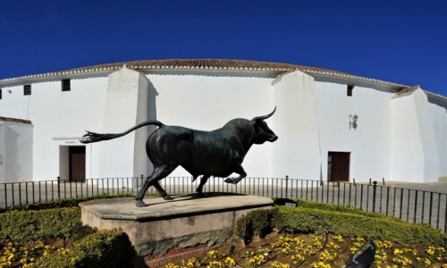 Zdjcie HISZPANIA / Andaluzja / Ronda / Spiowy bysio