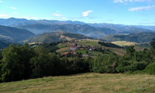 Zdjcie HISZPANIA / Asturia / Tineo / Grki