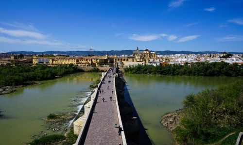 Zdjcie HISZPANIA / Andaluzja / Kordoba / Widok z twierdzy