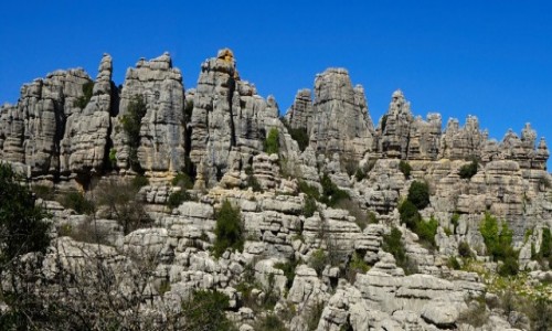 Zdjcie HISZPANIA / Andaluzja / El Torcal de Antequera / Grzebie